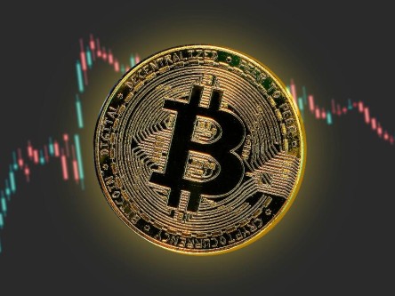 派币今日价格 7月5日派币实时价格走势图