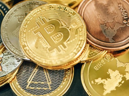 比特狗币最新行情走势图